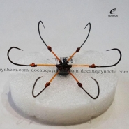 LỤC BÍNH BẠC - MŨI KIM