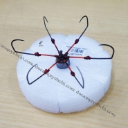 LỤC BÍNH BẠC - BỀNH