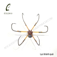 LỤC KHÁNH QUÁI